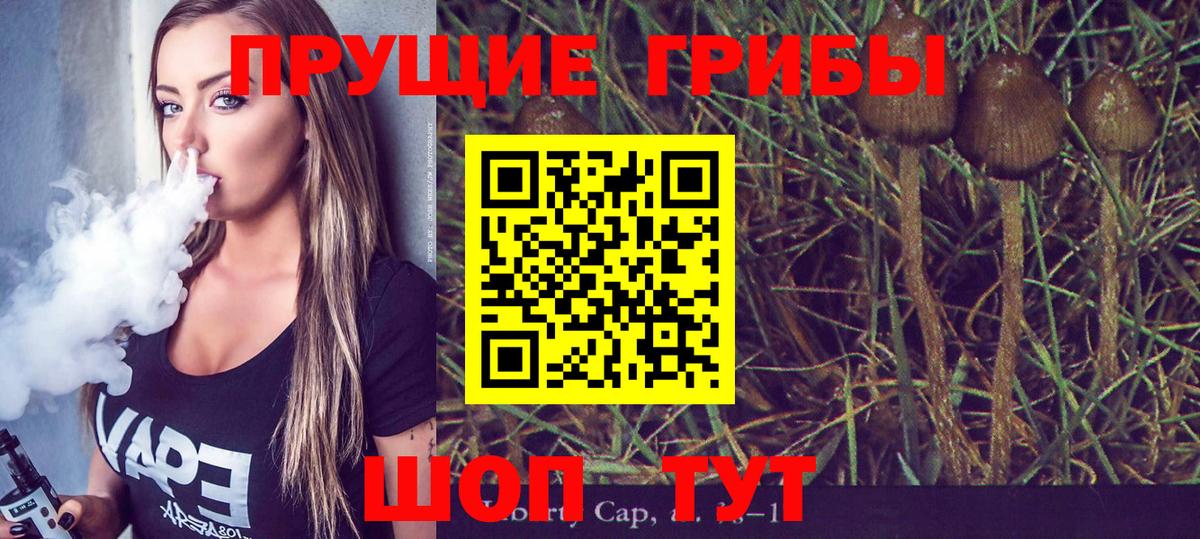 Псилоцибиновые грибы MAGIC MUSHROOMS  Вход с VPN  магазин продажи наркотиков  Ростов Великий 
