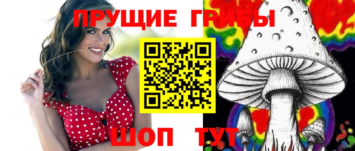 Псилоцибиновые грибы прущие грибы Ростов Великий